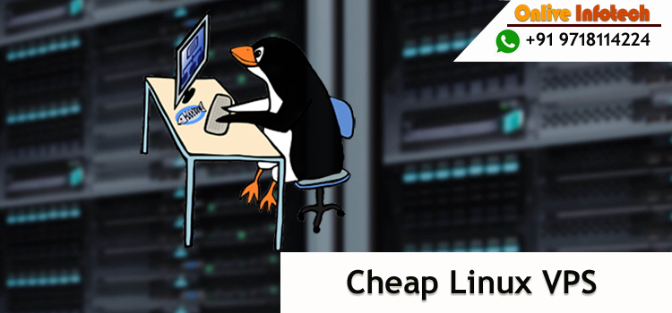 Cost Effective Cheap Linux VPS Server Hosting Plan – Onlive Infotech