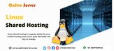 Why Linux Shared Hosting from Onlive Server is the best choice
